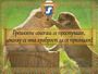 Грешките секогаш се простуваат, доколку се има храброст да се признаат!