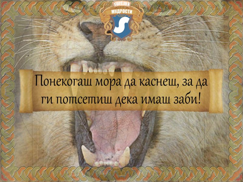 Понекогаш мора да каснеш, за да ги потсетиш дека имаш заби!