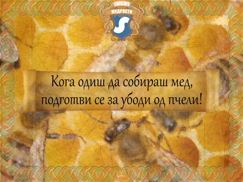 Кога одиш да собираш мед, подготви се за убоди од пчели!