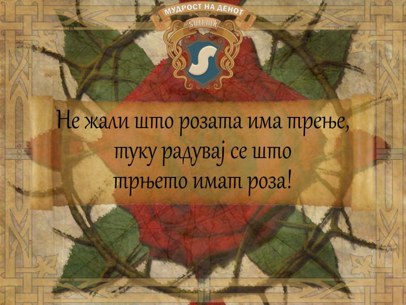 Не жали што розата има трење, туку радувај се што трњето имат роза!