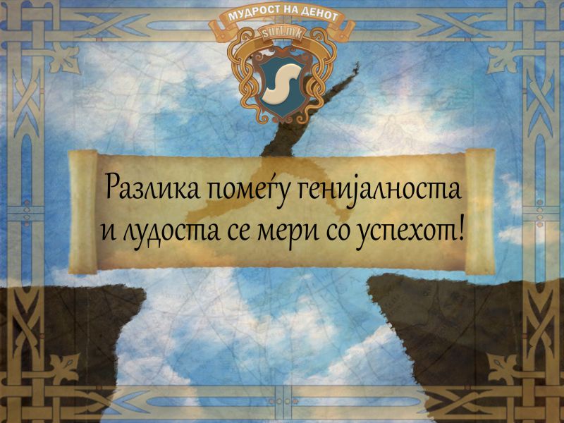 Разлика помеѓу генијалноста и лудоста се мери со успехот!