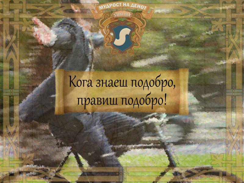 Кога знаеш подобро, правиш подобро!