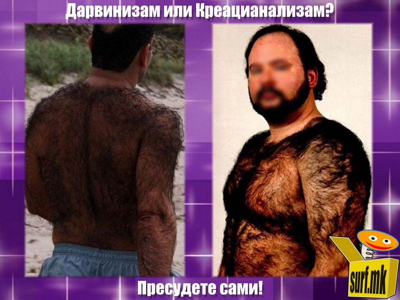 Дарвинизам или креационализам?