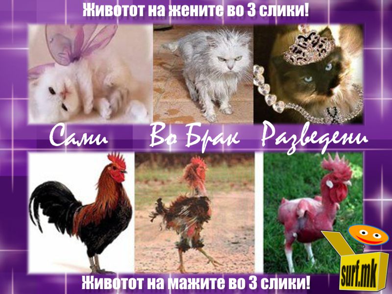 Животот на жените и мажите во 3 слики!
