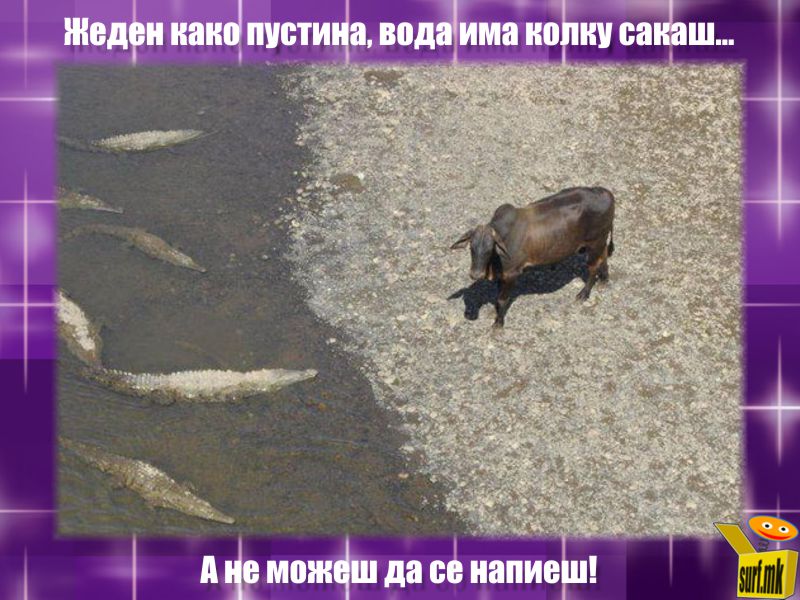 Жеден како пустина, а вода има колку сакаш.